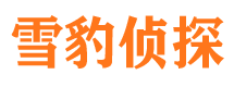 德兴市调查公司